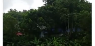 Laguna en los Jardines del Norte