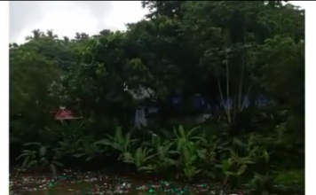 Laguna en los Jardines del Norte