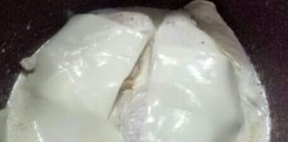 Pechugas de pollo en salsa de nata y queso