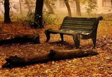 SOLEDADES /: Miguel Collado