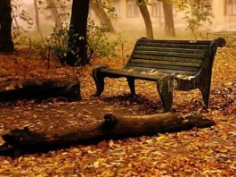 SOLEDADES /: Miguel Collado