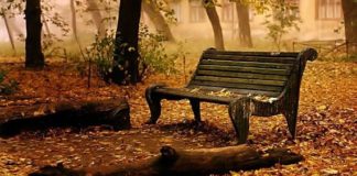 SOLEDADES /: Miguel Collado