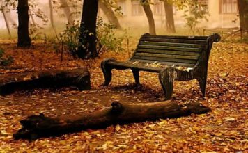 SOLEDADES /: Miguel Collado