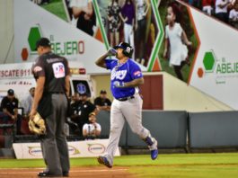 Yermín Mercedes pega jonrón en el triunfo del Licey sobre los Gigantes
