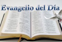 Evangelio del Día