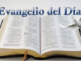 Evangelio del Día