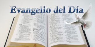Evangelio del Día