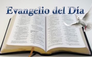 Evangelio del Día