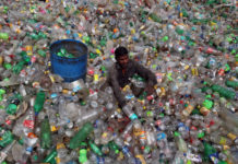 Plaga del siglo XXI: la humanidad ha generado un millón de torres Eiffel de plástico desde 1950