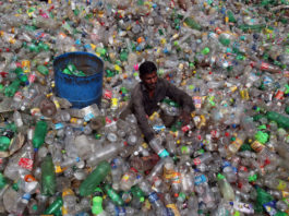 Plaga del siglo XXI: la humanidad ha generado un millón de torres Eiffel de plástico desde 1950