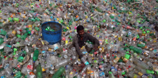 Plaga del siglo XXI: la humanidad ha generado un millón de torres Eiffel de plástico desde 1950