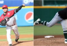 Leones contratan a Delgado y a Castellanos