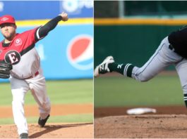 Leones contratan a Delgado y a Castellanos