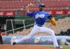 Echemendia encabeza victoria del Licey sobre los Gigantes