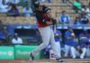 Leones vencen al Licey y definirán este domingo pase a la final con las Águilas