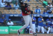 Leones vencen al Licey y definirán este domingo pase a la final con las Águilas