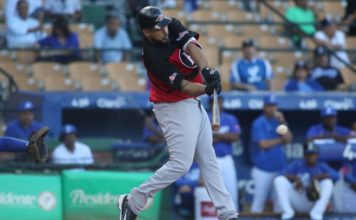 Leones vencen al Licey y definirán este domingo pase a la final con las Águilas