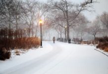 Fuerte nevada castiga a Nueva York y sus alrededores