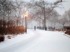 Fuerte nevada castiga a Nueva York y sus alrededores