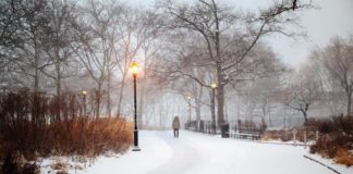 Fuerte nevada castiga a Nueva York y sus alrededores