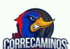 Correcaminos de la Parte Baja convocan a entrenamientos