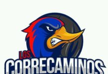 Correcaminos de la Parte Baja convocan a entrenamientos