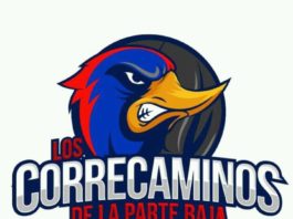 Correcaminos de la Parte Baja convocan a entrenamientos
