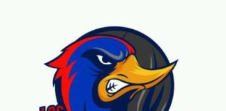 Correcaminos de la Parte Baja convocan a entrenamientos