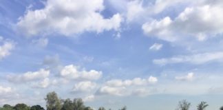 Cámara Británica de Comercio anuncia su Copa Británica de Polo, en su VI versión