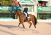 Losos de Muñiz gana Grand Prix en Wellington