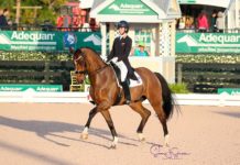 Losos de Muñiz gana Grand Prix en Wellington