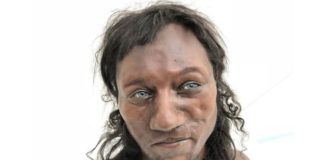 Hombre de Cheddar: ¿por qué a los humanos que abandonaron África se les aclaró la piel hace miles de años?