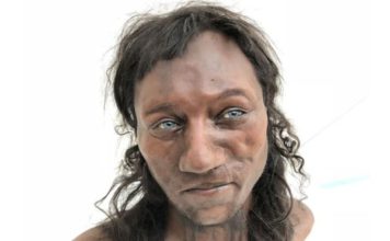 Hombre de Cheddar: ¿por qué a los humanos que abandonaron África se les aclaró la piel hace miles de años?