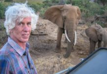 Asesinan a destacado investigador del comercio de marfil en Kenia