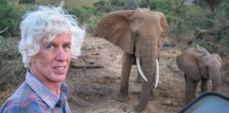 Asesinan a destacado investigador del comercio de marfil en Kenia