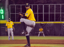 Vuelve César Valdez a Tabasco para la campaña del 2018 en LMB