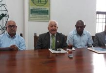 Academia de Ciencias: es una “maniobra ilegal” donar terrenos de Cuevas las Maravillas