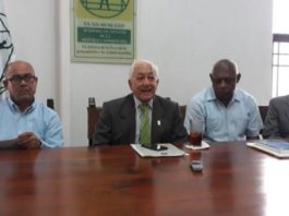 Academia de Ciencias: es una “maniobra ilegal” donar terrenos de Cuevas las Maravillas