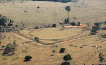 El sorprendente hallazgo de un grupo de aldeas en el Amazonas que replantea la historia de la selva más grande del mundo