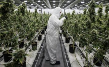 La marihuana cotiza al alza en el Nasdaq