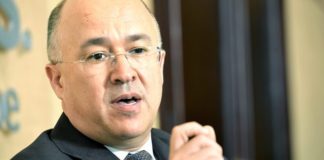 Domínguez Brito deja hoy el Ministerio de Medio Ambiente para buscar candidatura presidencial