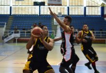 Tiburones y Guerreros triunfan en jornada del domingo familiar en SFM