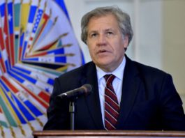 Luis Almagro: la reelección presidencial no es un derecho humano y “es una mala práctica”