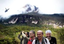 Las 9 especies desconocidas que un grupo de científicos descubrió al ingresar a la montaña Pico da Neblina, una remota zona del Amazonas