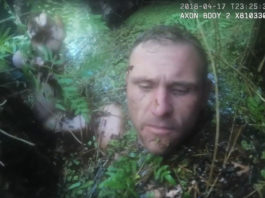 VIDEO: Un delincuente es ‘devorado’ por un pantano tras una persecución policial