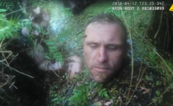 VIDEO: Un delincuente es ‘devorado’ por un pantano tras una persecución policial