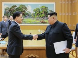 Las dos Coreas ponen en marcha una línea directa entre sus líderes