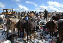 La vergüenza del vertedero de Duquesa