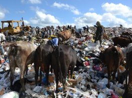 La vergüenza del vertedero de Duquesa