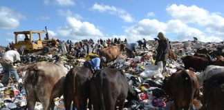 La vergüenza del vertedero de Duquesa